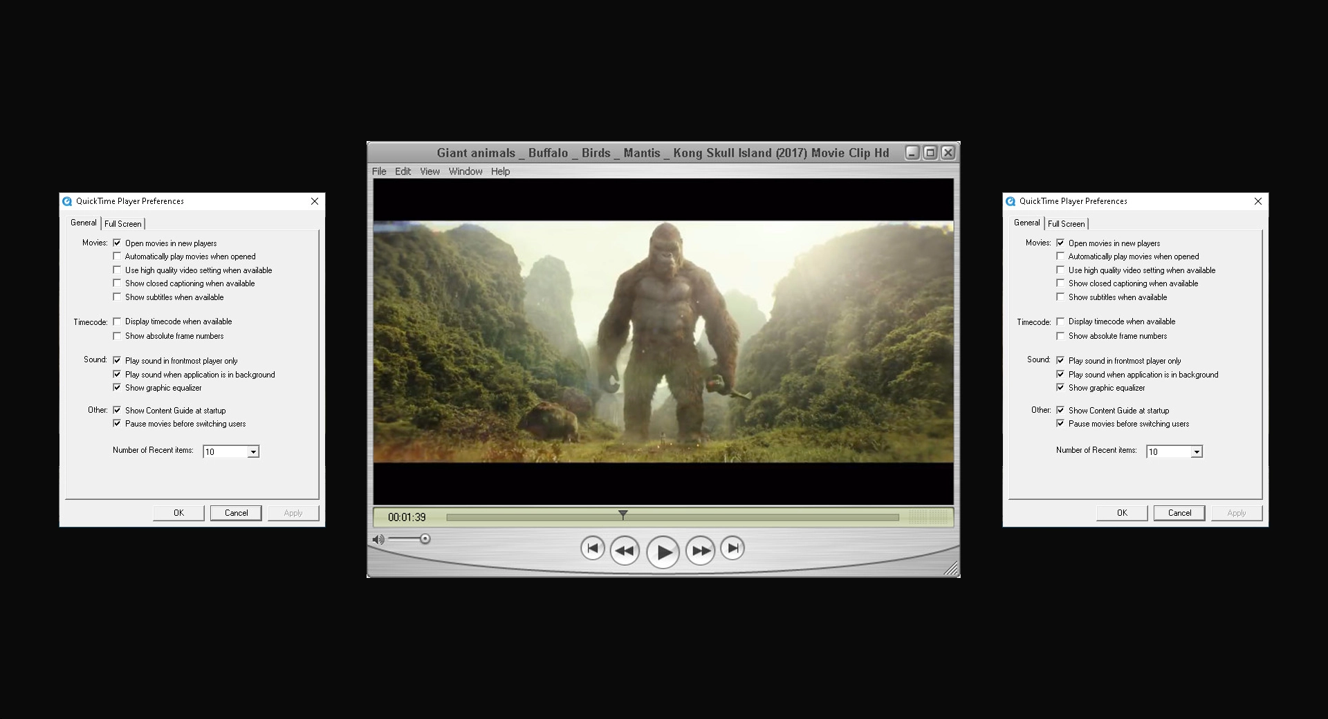 Screenshot QuickTime 2